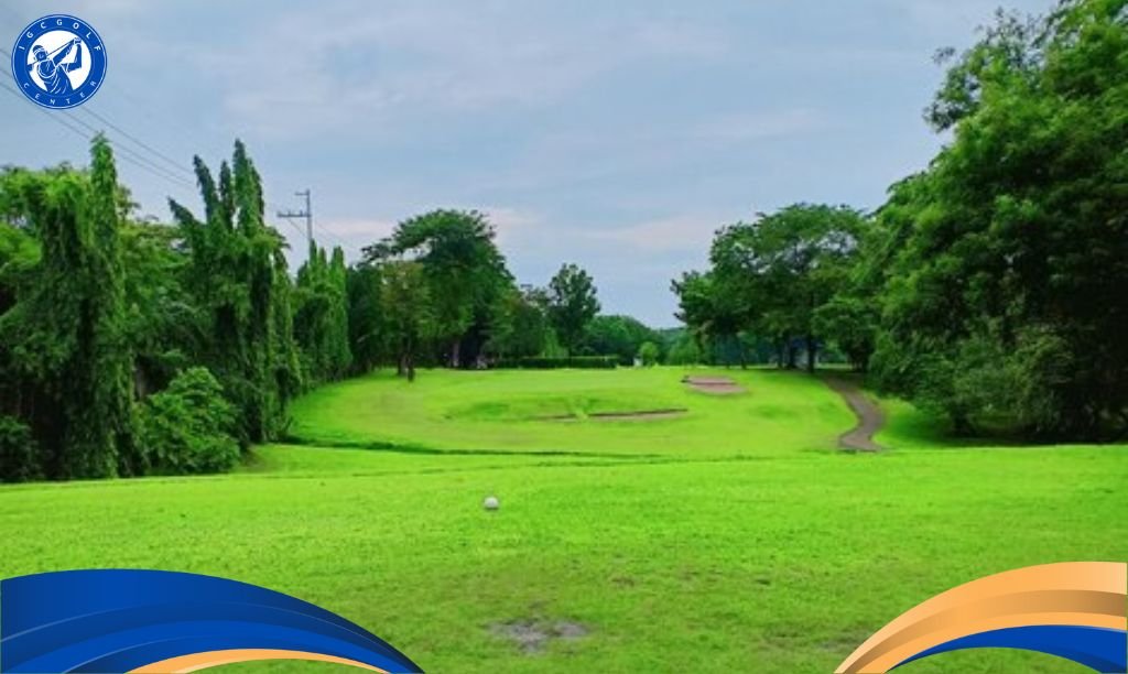Swing driver golf trên sân golf