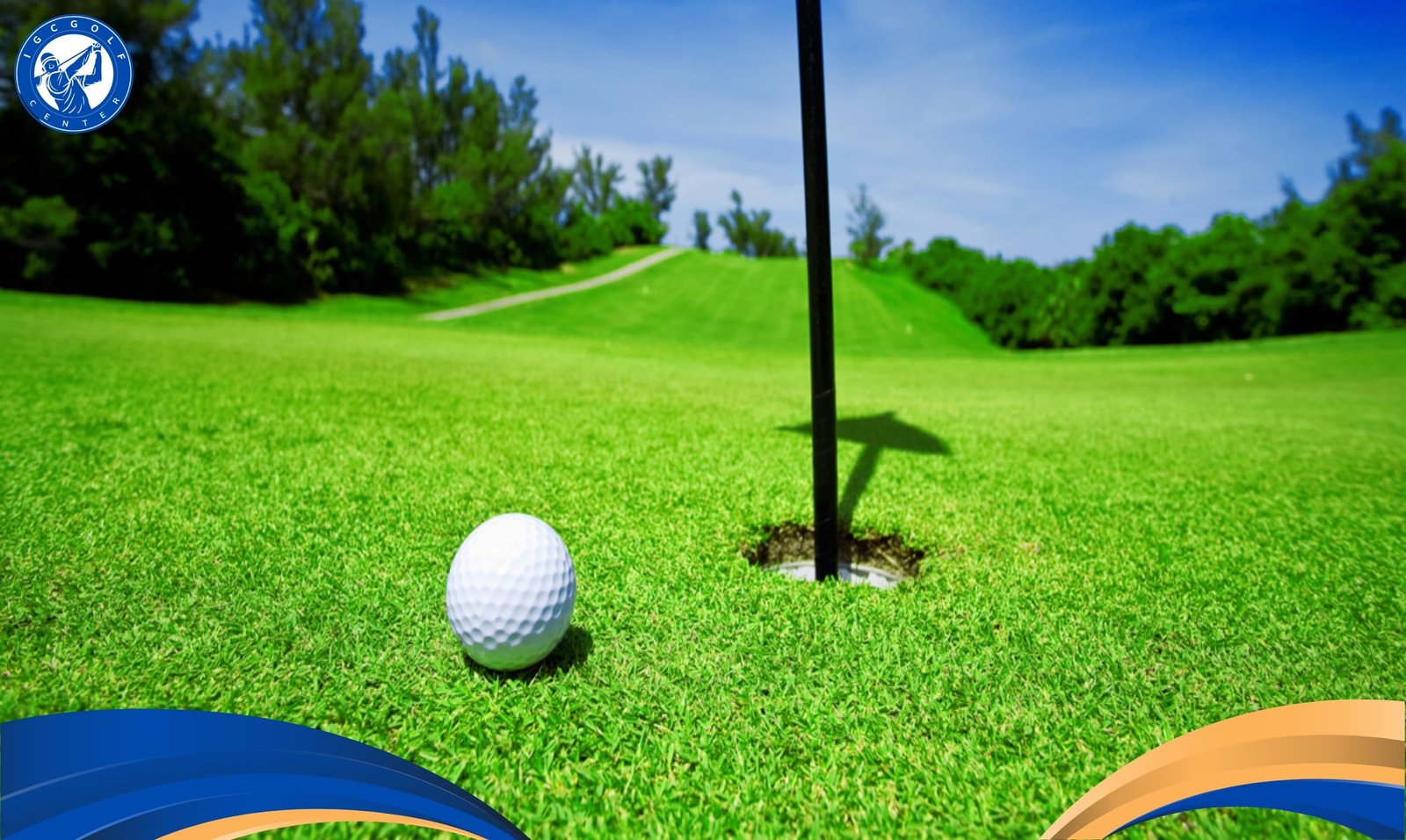 Cỏ Bentgrass siêu bền