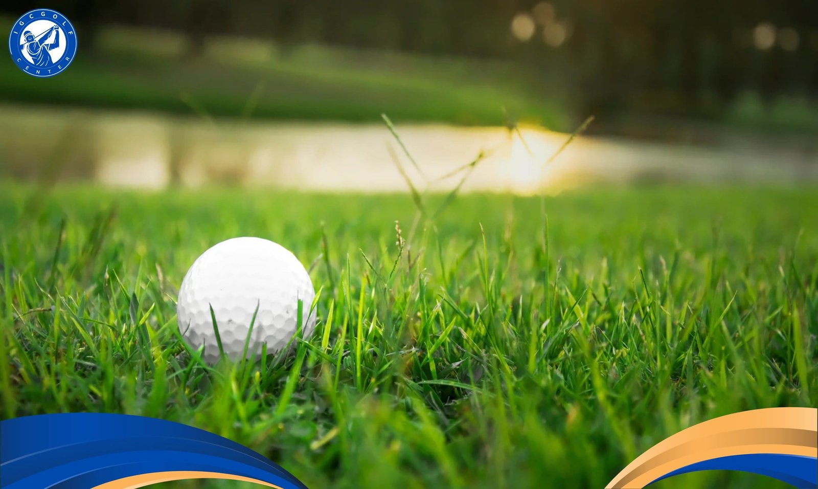 Cỏ Bermuda Grass