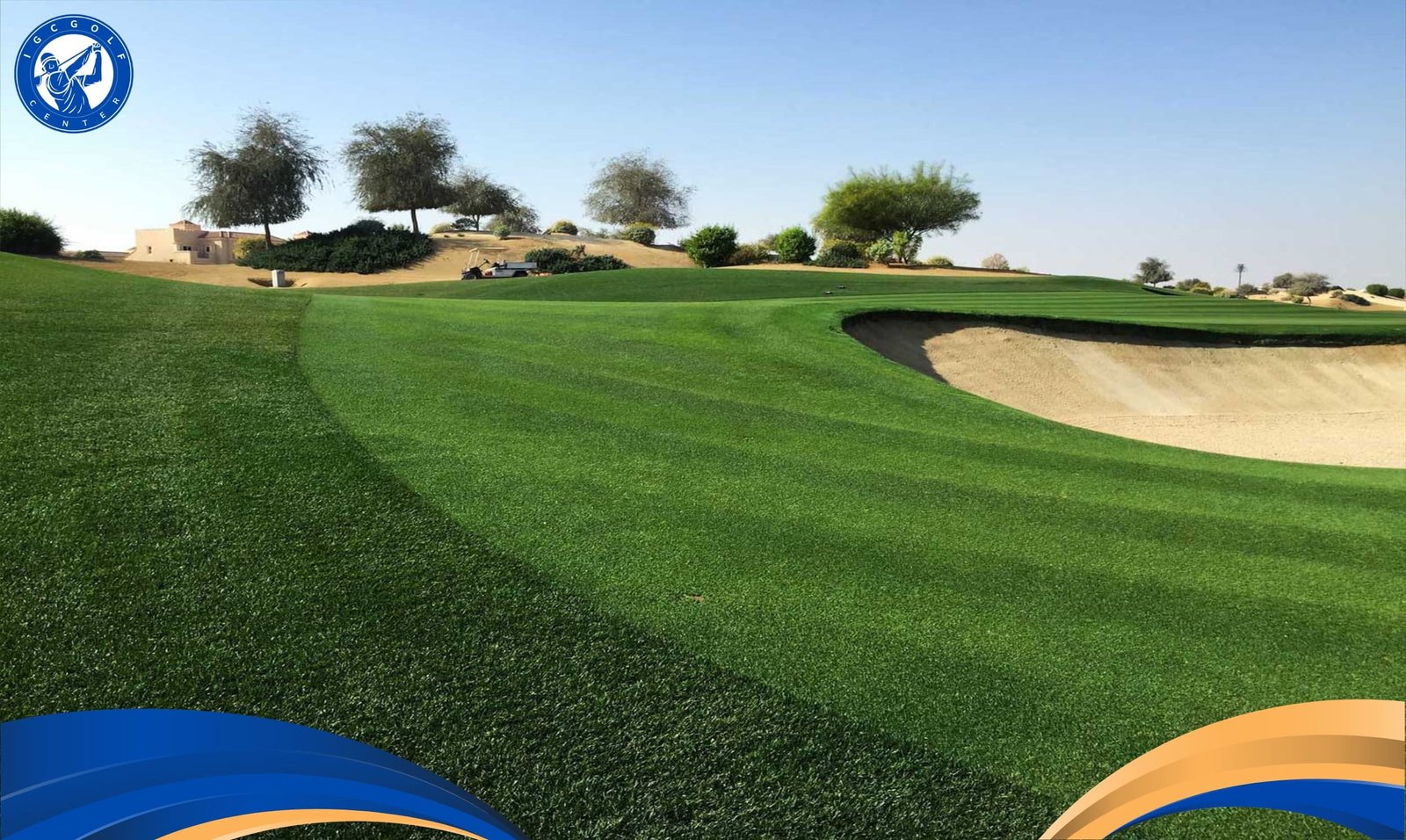 Cỏ Perennial Ryegrass